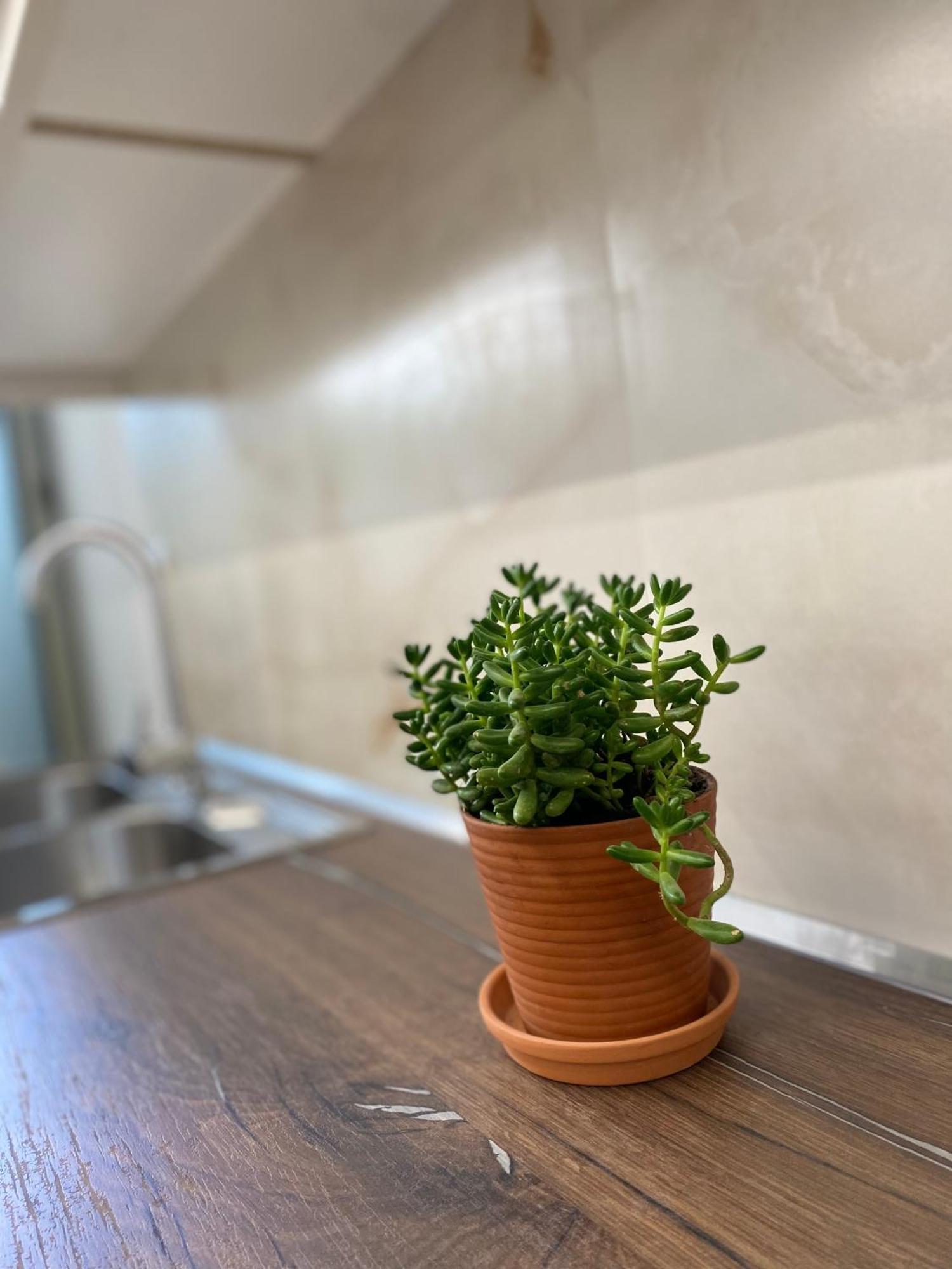 Flors Apartments Durres Bagian luar foto